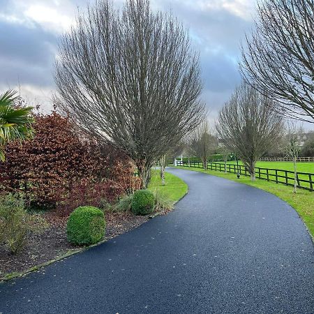 Clara Lodge Sallins Luaran gambar