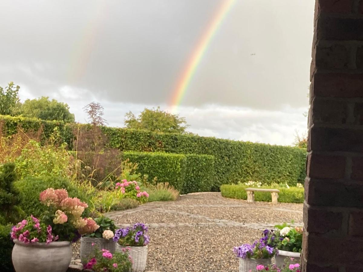 Clara Lodge Sallins Luaran gambar